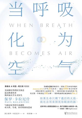 当呼吸化为空气读书赏析 (6)篇